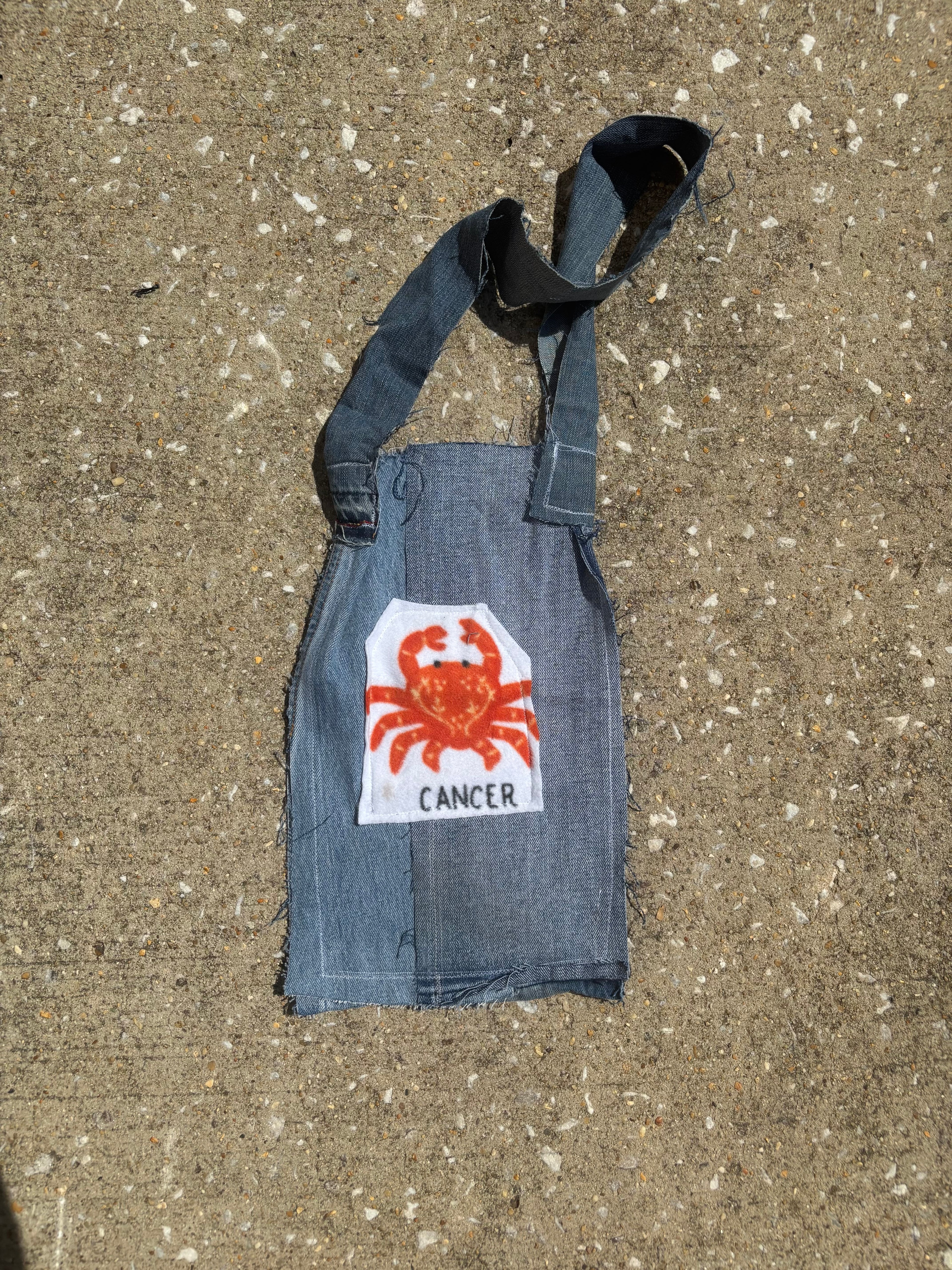 Cancer Denim Tote Bag